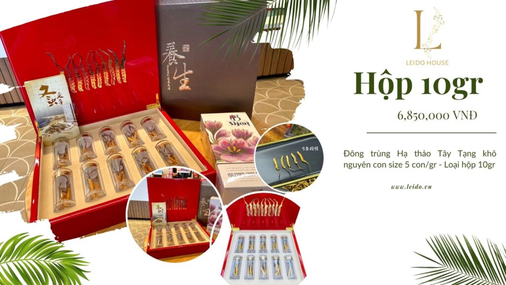 Đông trùng Hạ thảo Tây Tạng khô nguyên con size 5 con/gram, loại hộp 10g