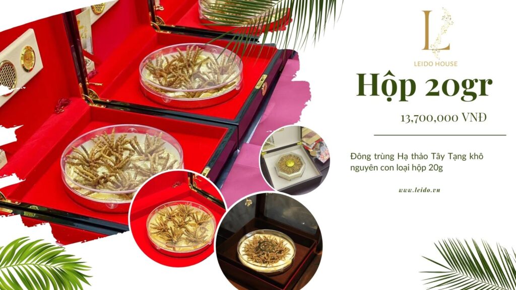 Đông trùng hạ thảo hộp 20gr