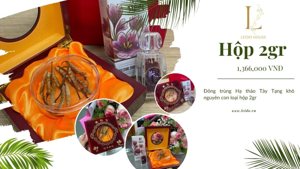Đông trùng Hạ thảo Tây Tạng khô nguyên con loại hộp 2g