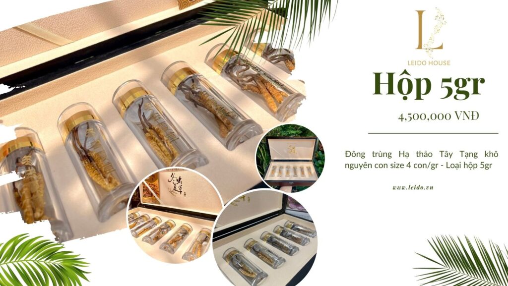 Đông trùng Hạ thảo Tây Tạng khô nguyên con size 4 con/gram, loại hộp 5g