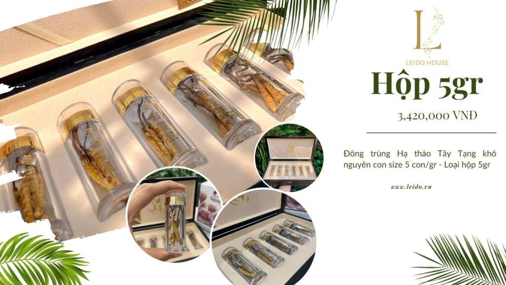 Đông trùng Hạ thảo Tây Tạng khô nguyên con size 5 con/gram, loại hộp 5g