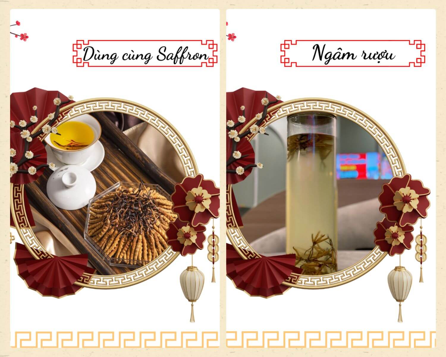 Chế biến món ngon từ Đông Trùng Tây Tạng
