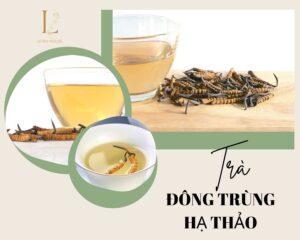 Trà đông trùng hạ thảo