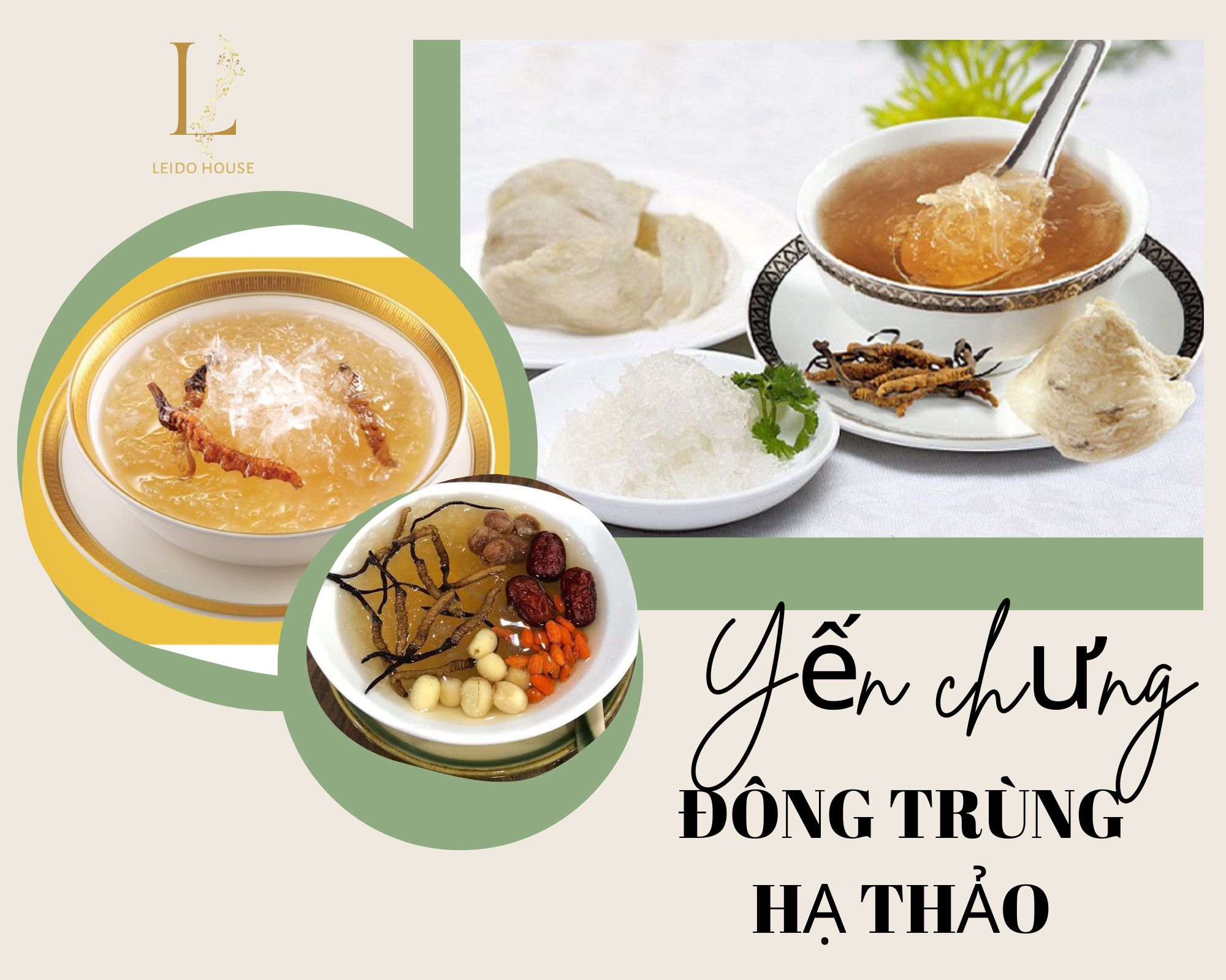 Yến chưng Đông Trùng Hạ Thảo