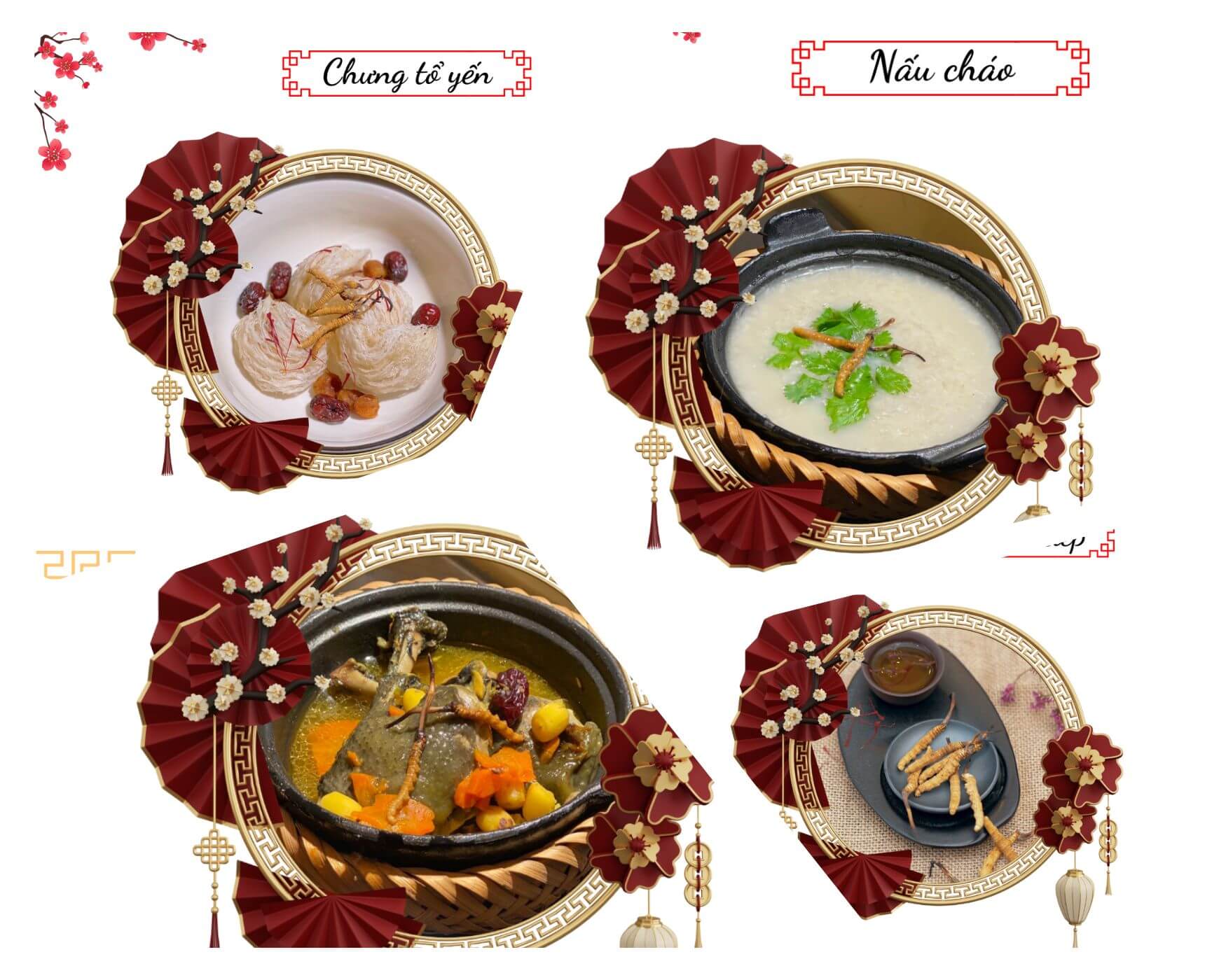 Chế biến món ngon từ Đông Trùng Tây Tạng