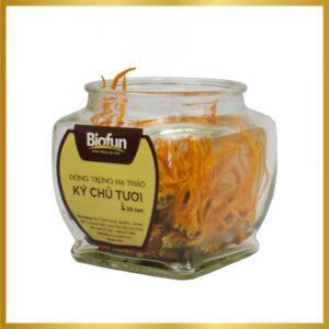 Đông Trùng Hạ Thảo Biofun