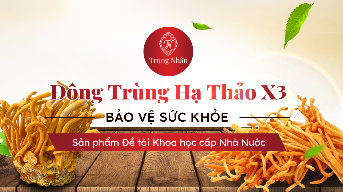 Đông Trùng hạ thảo trung nhân