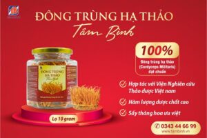 Đông Trùng Hạ Thảo Tâm Bình