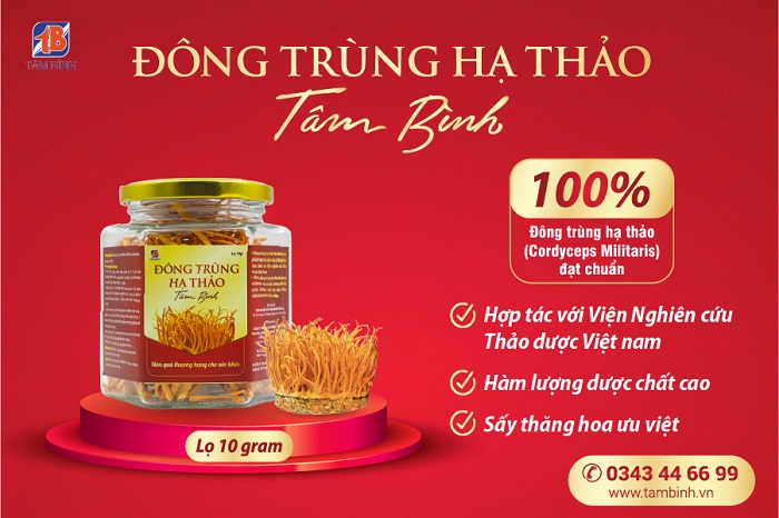 Đông Trùng Hạ Thảo Tâm Bình