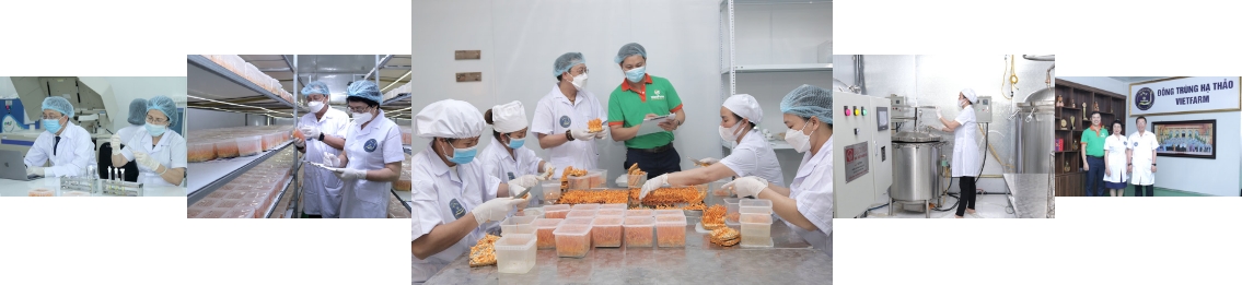 Giới thiệu Đông Trùng Vietfarm