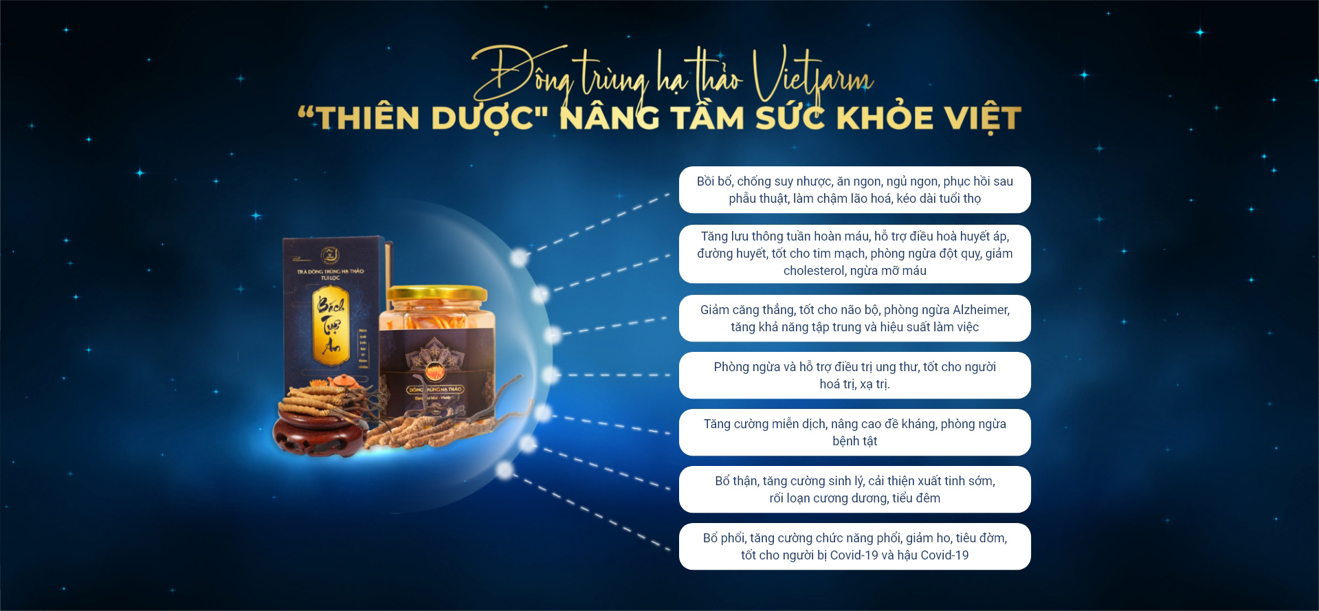 Nấm Đông Trùng Hạ Thảo Vietfarm - Top thương hiệu về Đông Trùng tại Việt Nam