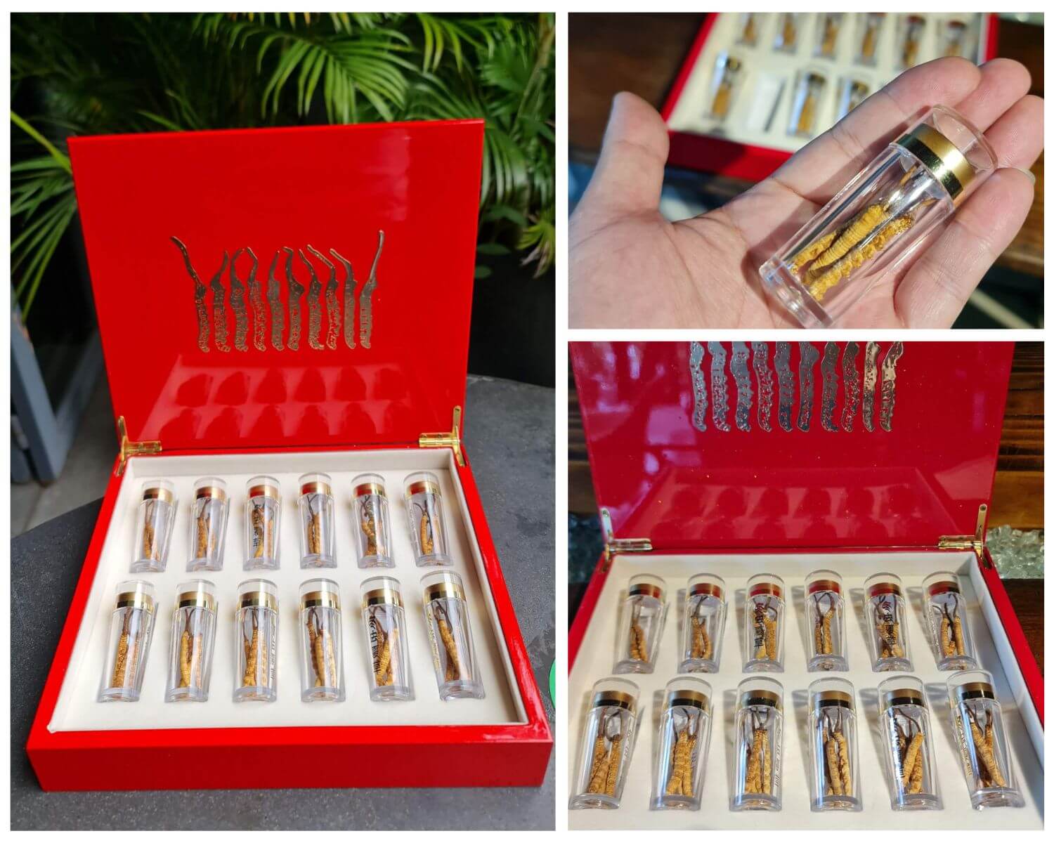 Hộp 10gr Size 5