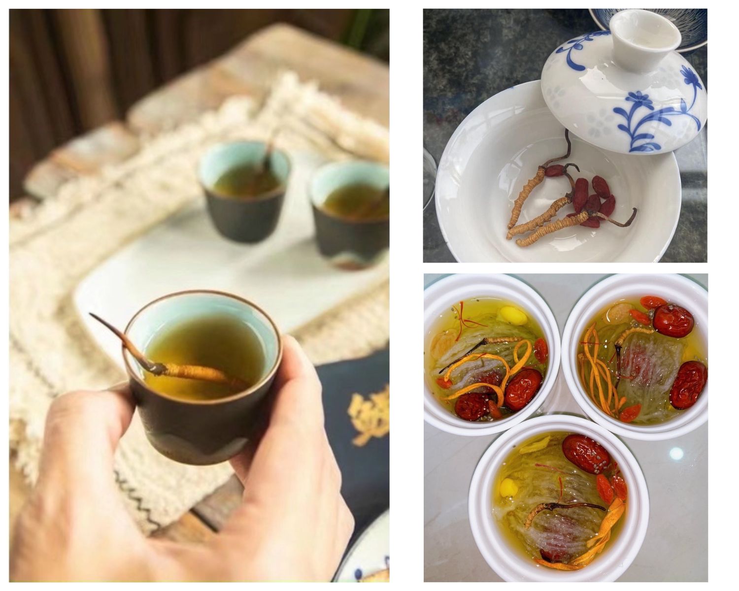 Chế biến món đông trùng