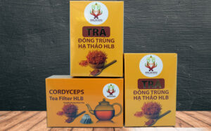 Trà đông trùng hạ thảo