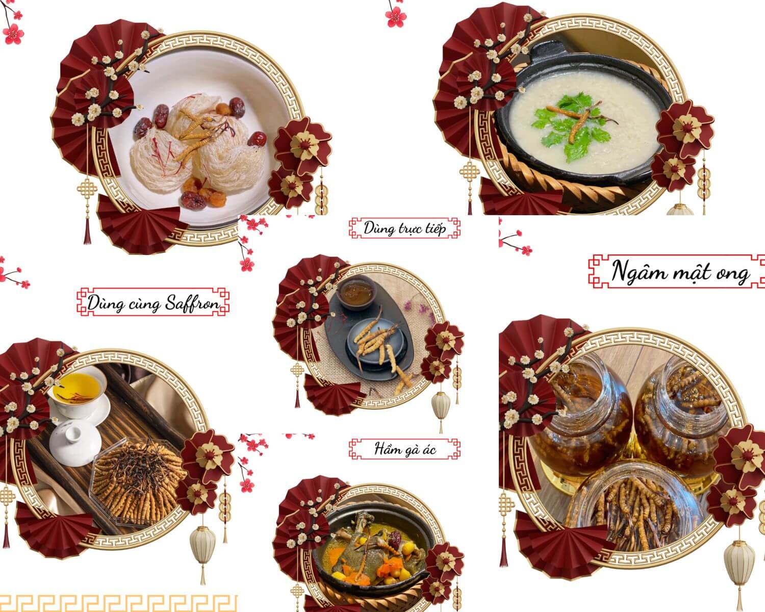 Chế biến Đông Trùng Tây Tạng
