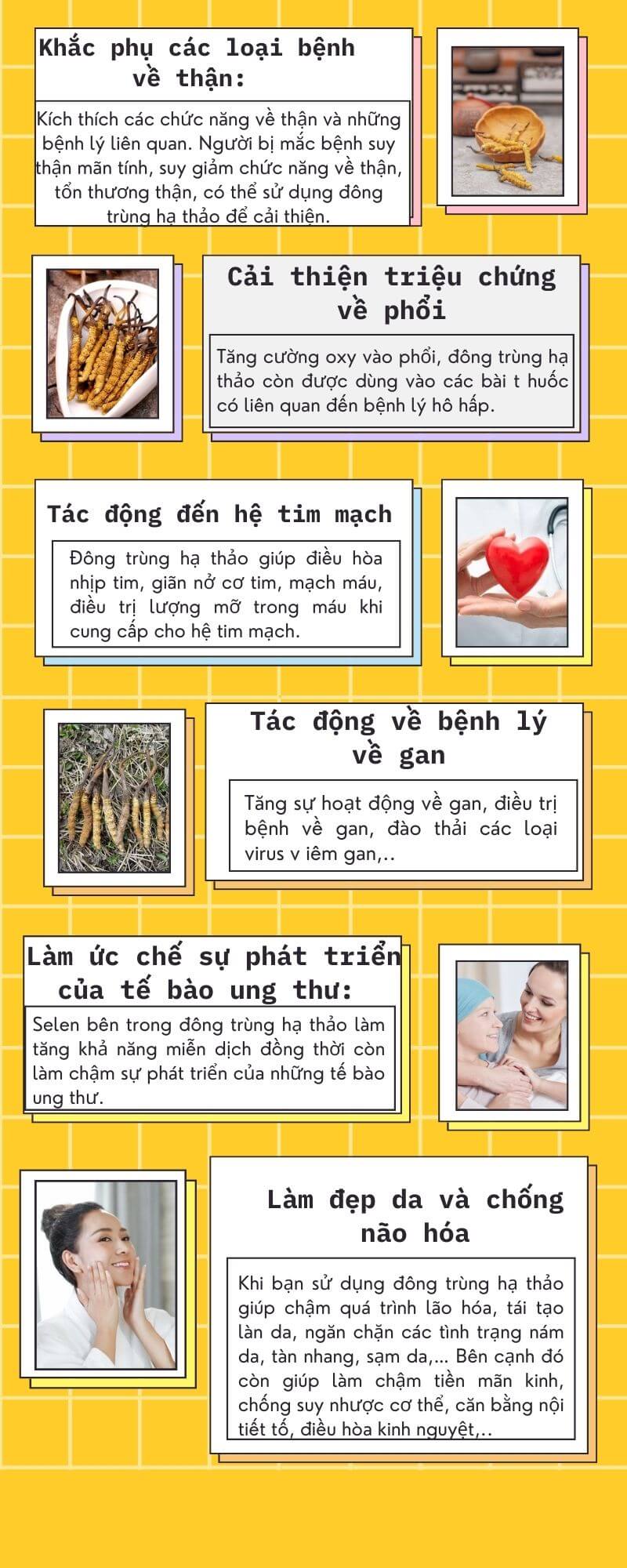 Tác dụng Đông Trùng Hạ Thảo