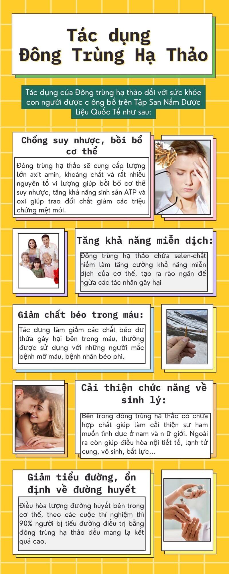 Tác dụng Đông Trùng Hạ Thảo