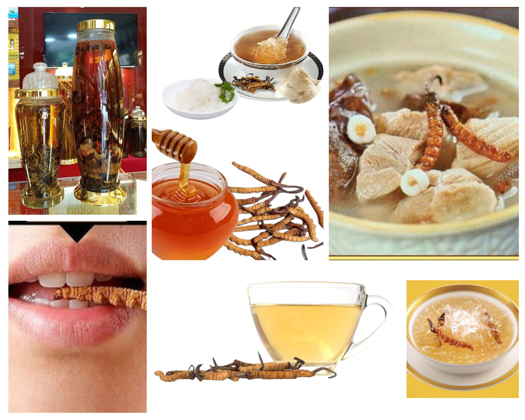Cách sử dụng đông trùng hạ thảo phổ biến
