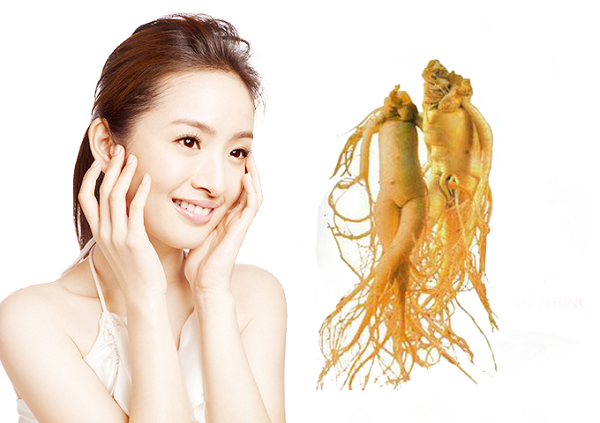 Tác dụng Nhân sâm với phụ nữ tiền mãn kinh