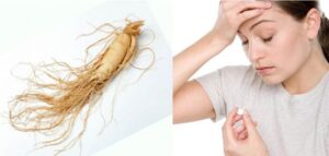 Hồng Sâm và tình trạng mệt mỏi