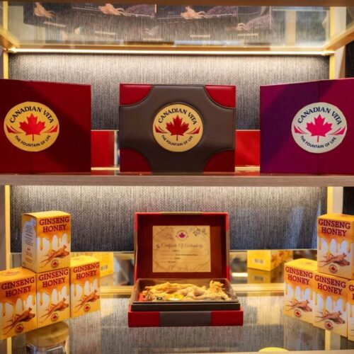 Canadian Vita