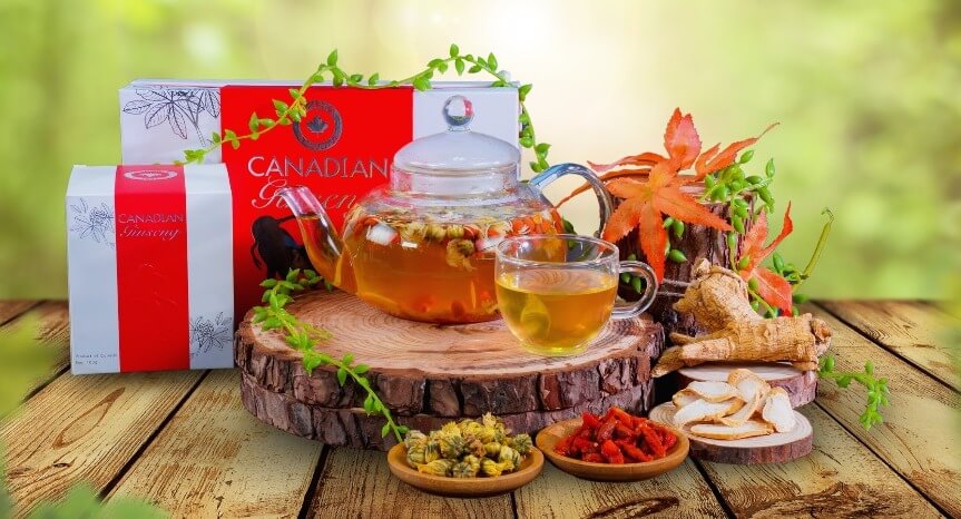 Đa dạng cách sử dụng Nhân sâm Canada