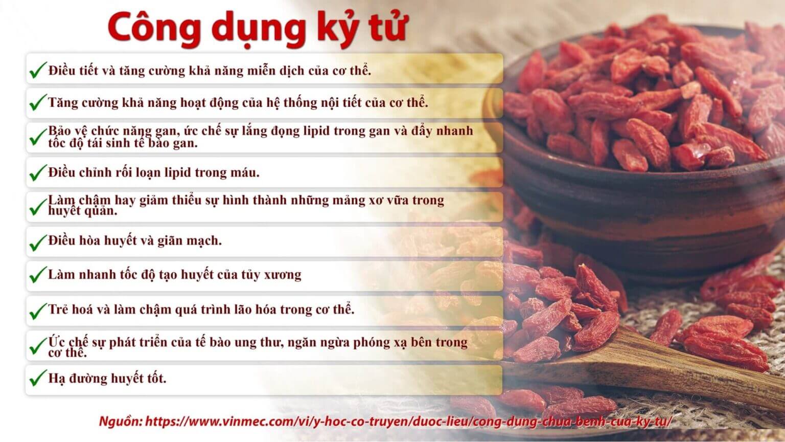 Công dụng kỷ tử