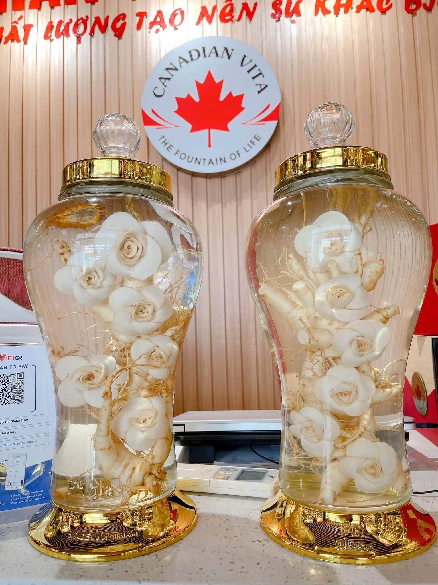 Nhân sâm ngâm rượu