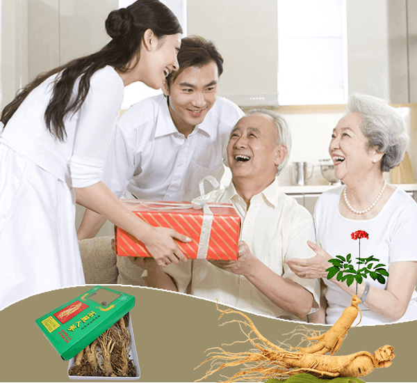 Nhân sâm cải thiện sức khoẻ