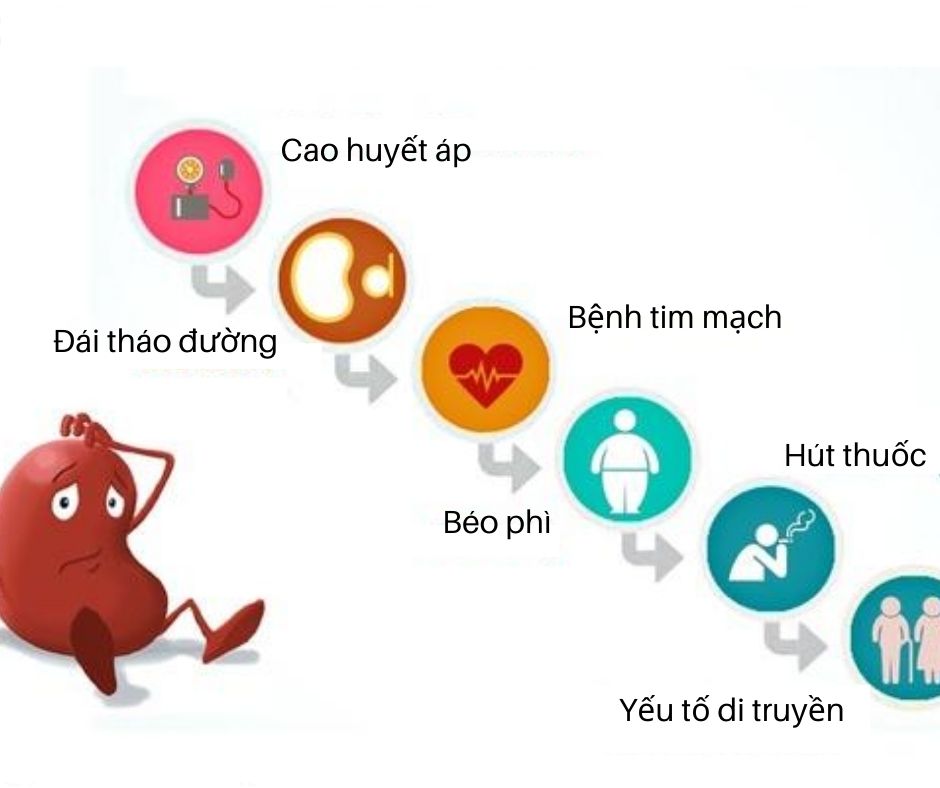 Nguyên nhân bệnh Thận
