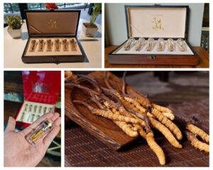 Đông Trùng Hạ Thảo