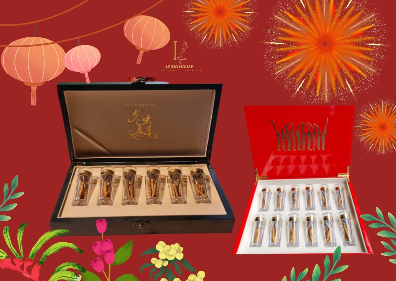 Quà tết 2024 Đông Trùng Hạ Thảo Tây Tạng cao cấp thuần tự nhiên