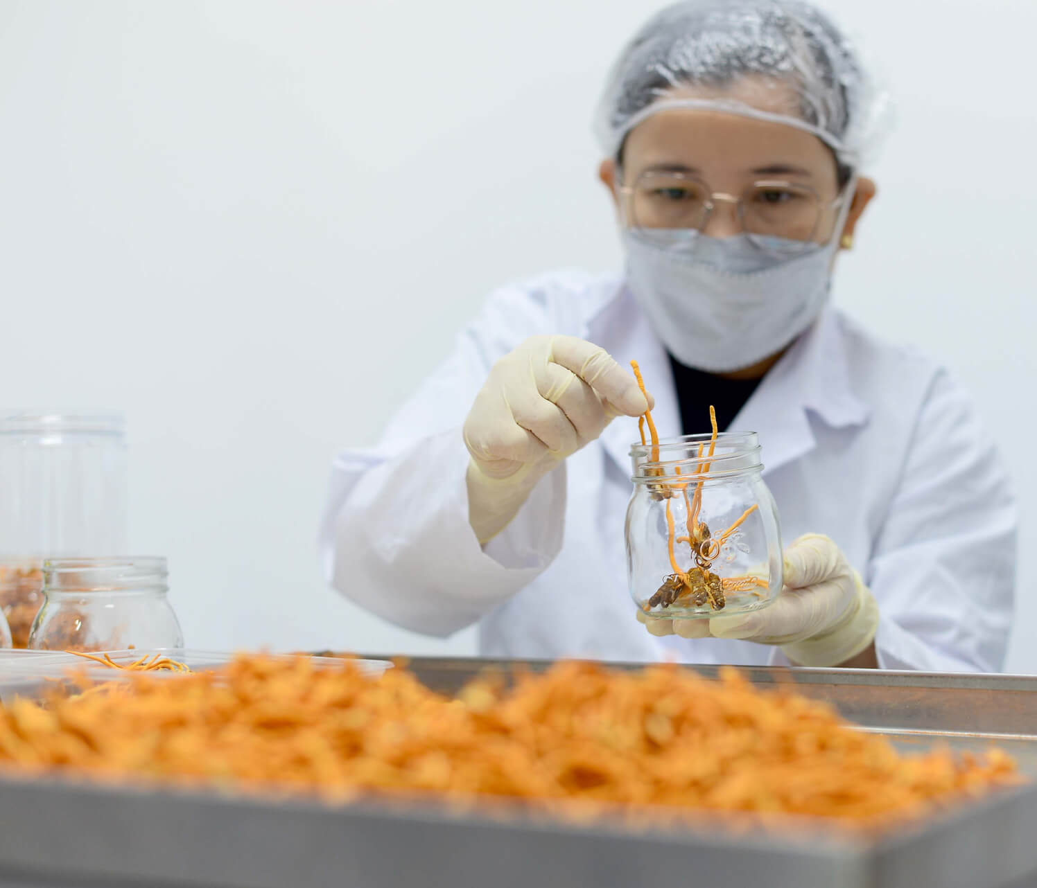 Nấm đông trùng hạ thảo nhộng tằm