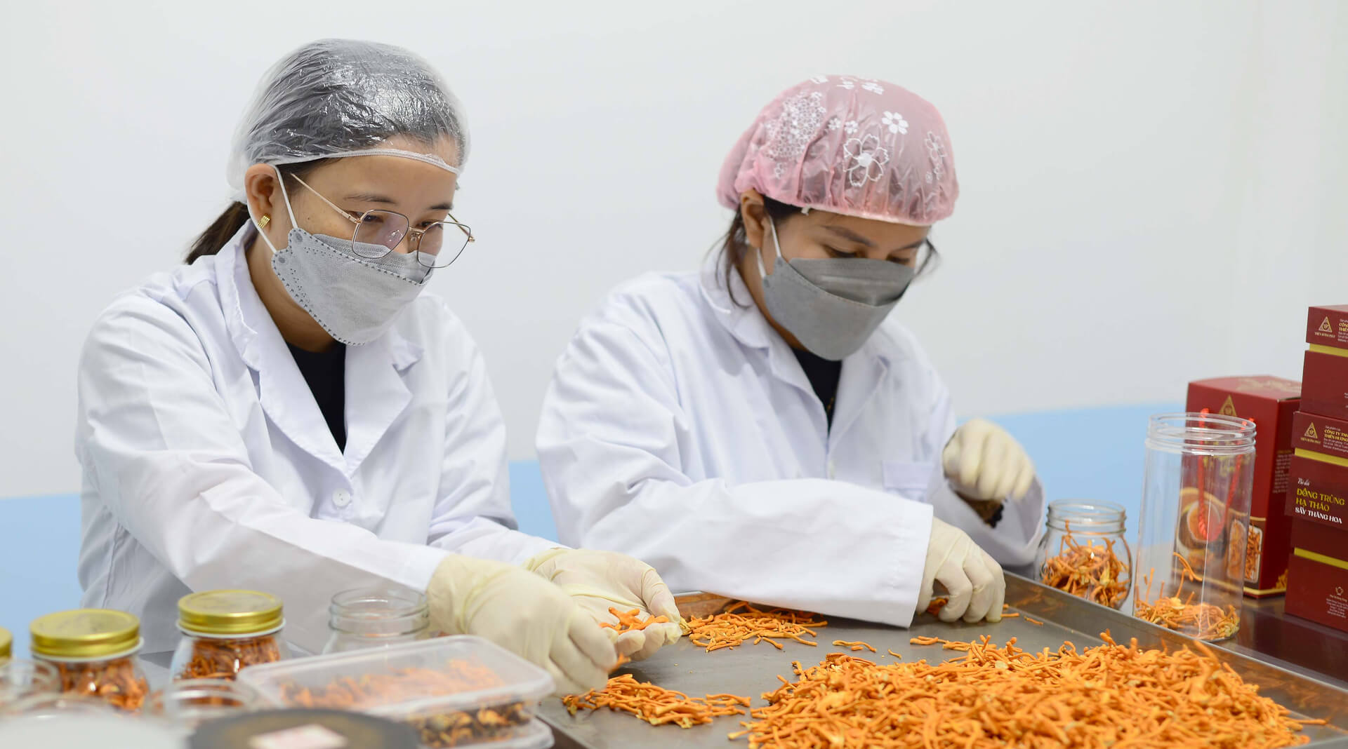 Nấm đông trùng hạ thảo nhộng tằm
