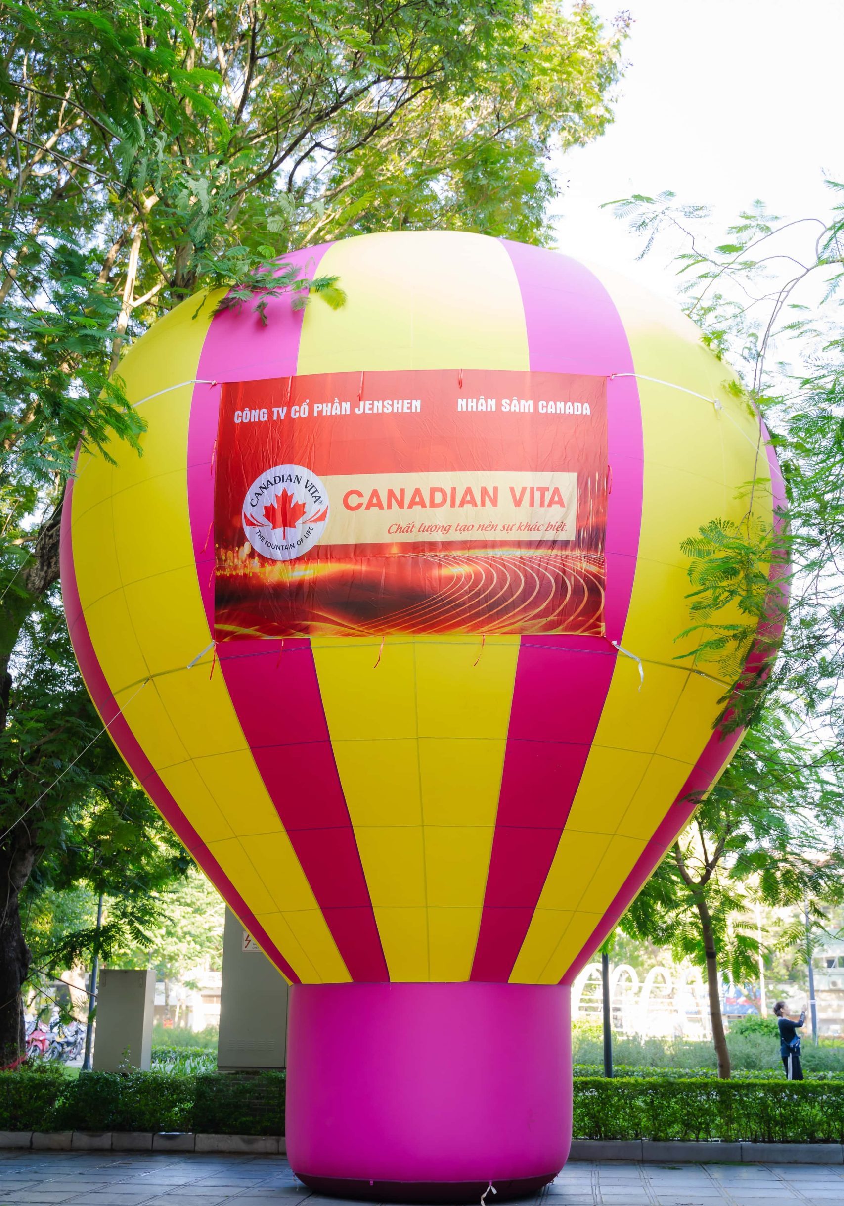 Chính thức khai trương Canadian Vita – Nhân sâm Canada tại Hải Phòng