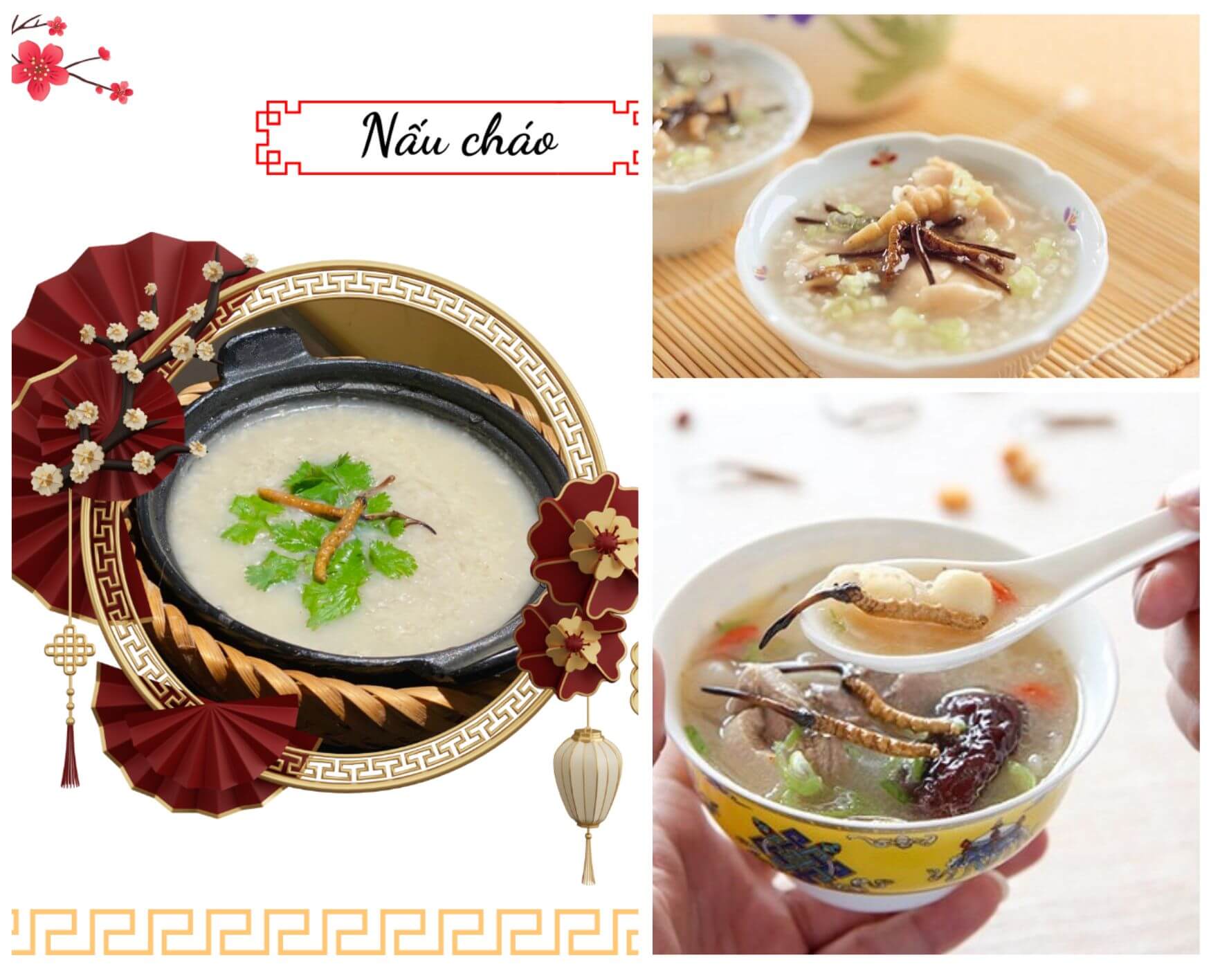 Nấu cháo Đông Trùng Hạ Thảo