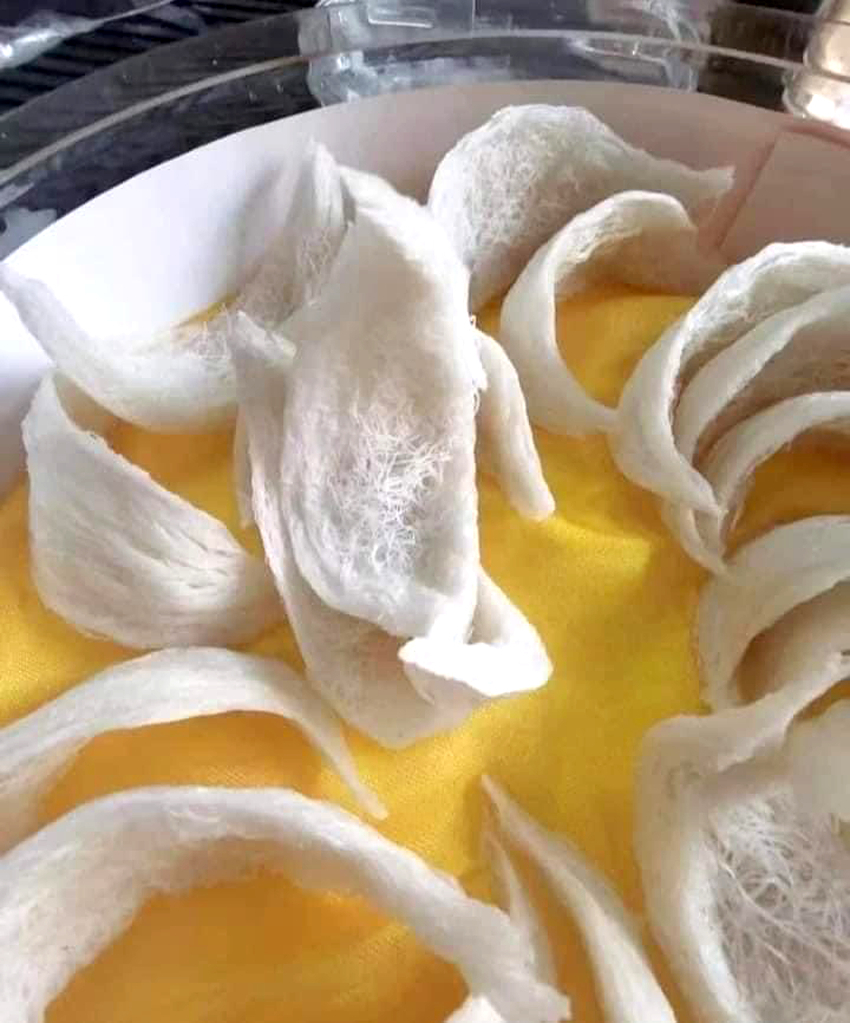 Quá trình làm giả Yến Sào rất tinh vi