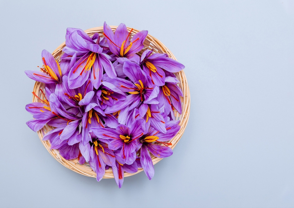Màu của hoa nghệ tây Saffron