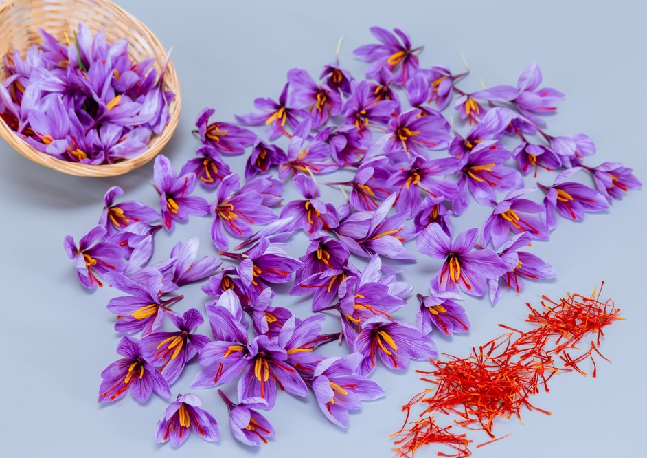 Màu của hoa nghệ tây Saffron