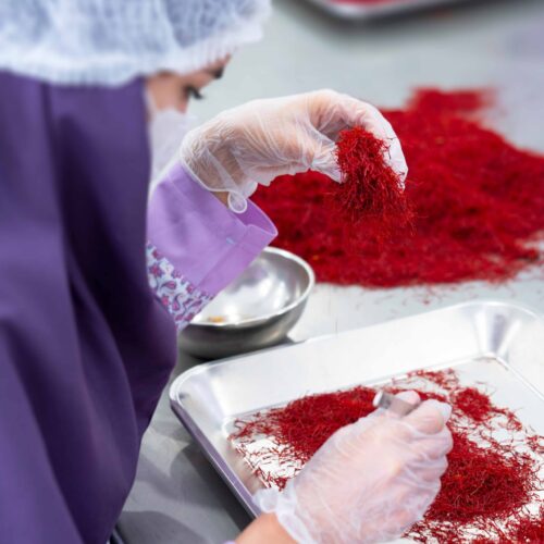 Tác dụng của nhuỵ hoa nghệ tây Saffron Behrang Iran